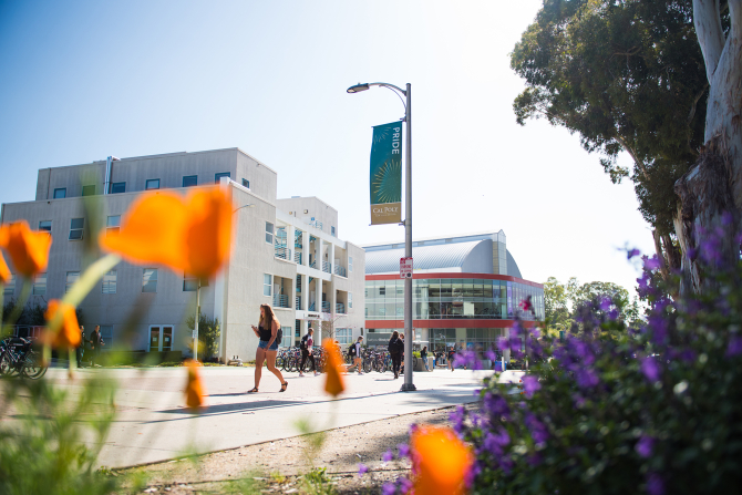 California Poppies bloom as students walk across campus. 