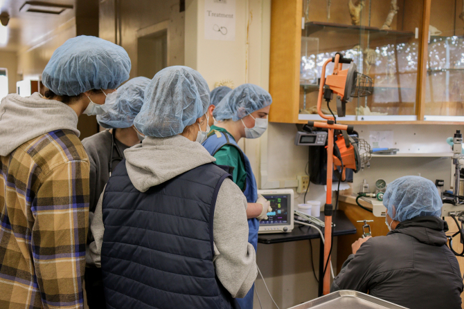 Students observe research. 