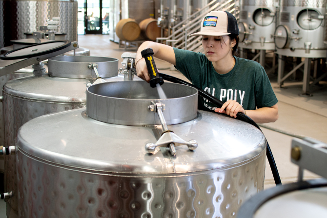 A wine and viticulture graduate student cleans a tank on bottling day. 