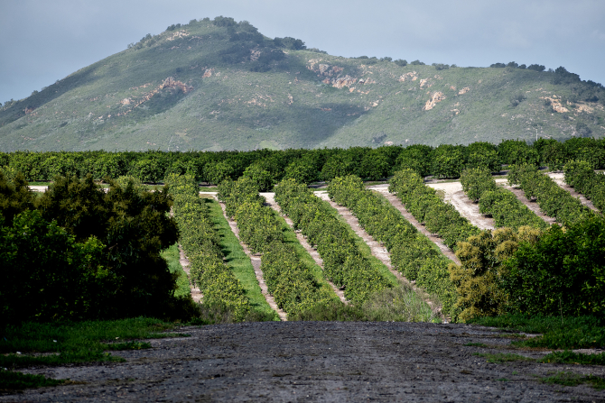 Bartleson Ranch and Conservatory in Arroyo Grande. 