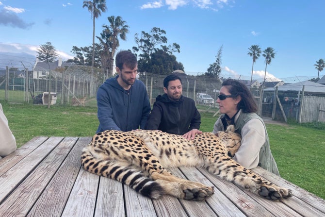 Alex Wiens, an environmental sciences and management master’s student (left) petting a cheetah hosted by Cheetah Outreach.