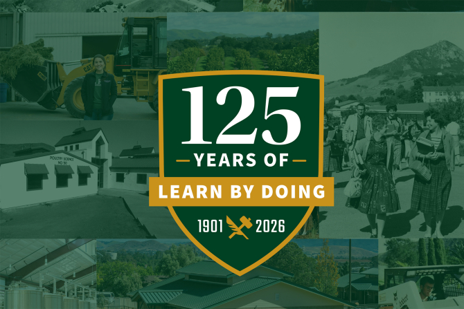 A 125 Years of Learn by Doing seal on a green background. 