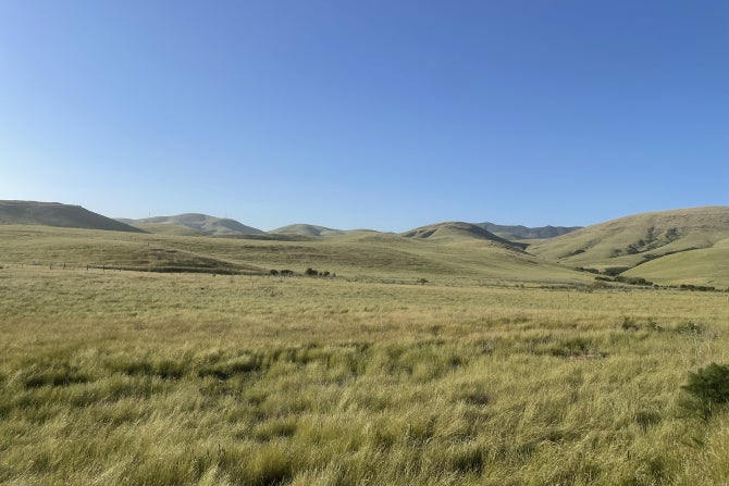 Cal Poly's Escuela Ranch