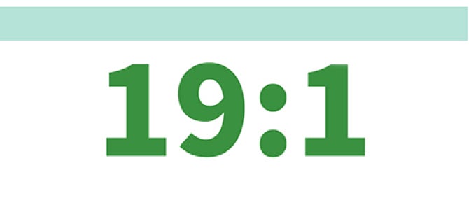 19:1