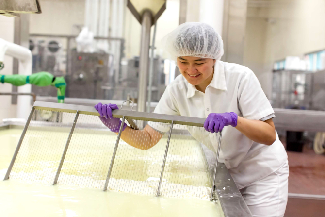 Lai cutting curd at the Dairy Product Technology Center. 