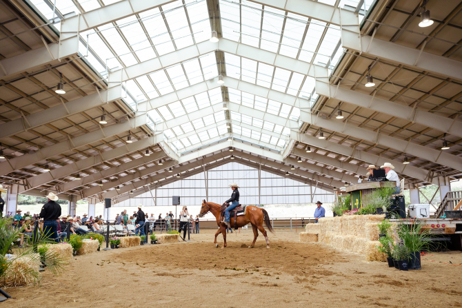 A student shows a horse during the Performance Horse Sale at the Oppenheimer Family Equine Center at Cal Poly.