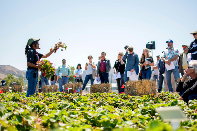 A staff member gives a presentation during Strawberry Field Day. 