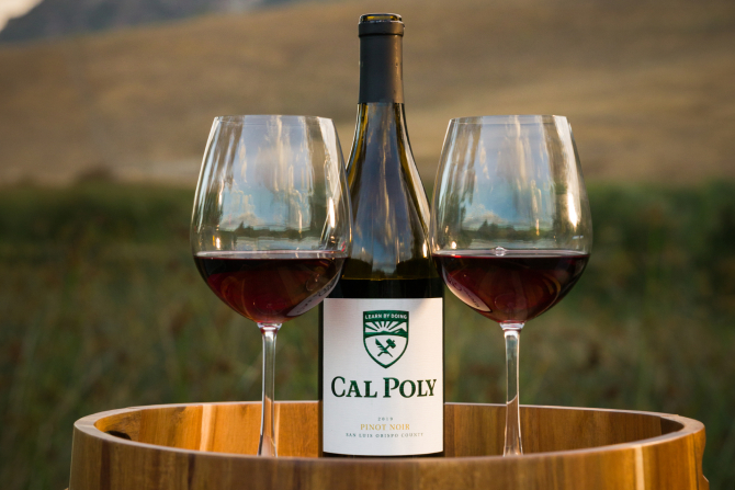 Two wine glasses on each side of a bottle of Cal Poly wine. 