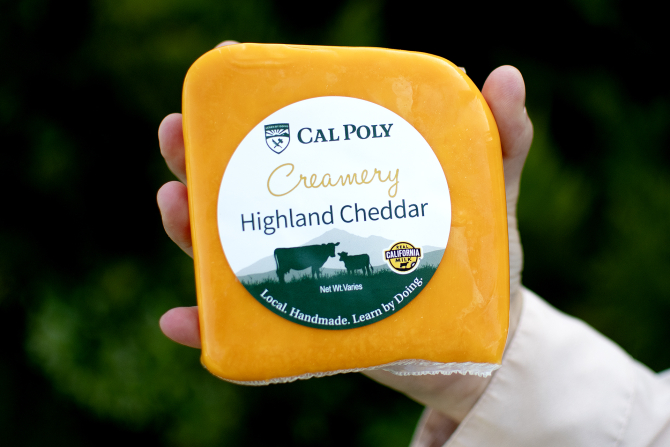 A hand holds a block of Cal Poly Creamery Highland Cheddar. 