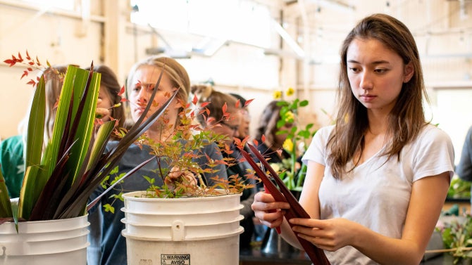 A female student holds long red plant leaves as she designs a floral arrangement. 