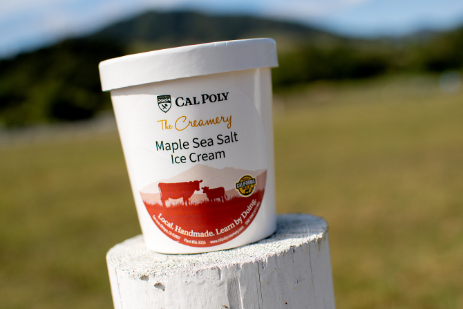 A cup of Maple Sea Salt Ice Cream 