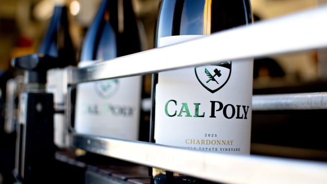A bottle of Cal Poly Chardonnay makes its way down a conveyor belt after being bottled.