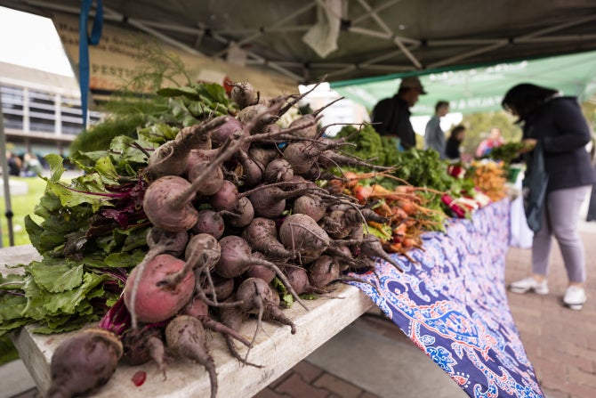 Student-grown produce is sold at local farmer's markets. 