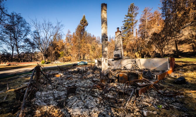 Fire damage at Swanton Pacific Ranch.