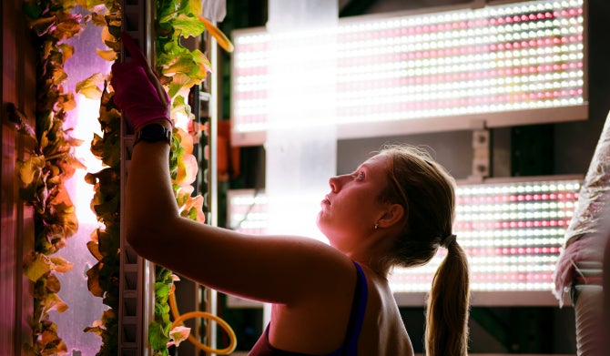 A student works in the vertical greenhouse. 