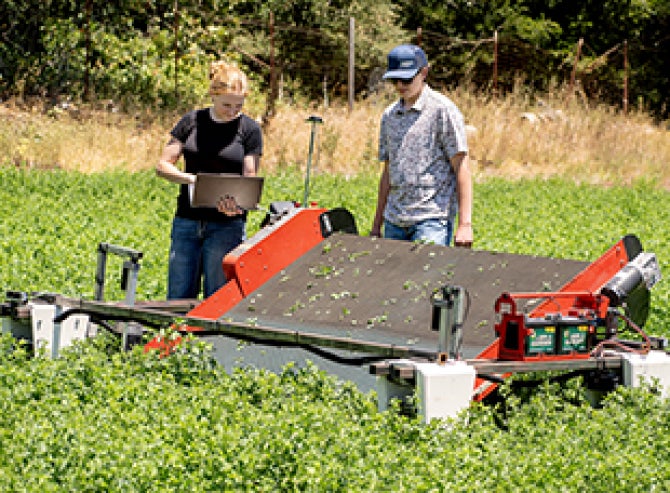 Two students, one carrying and working on a laptop computer, walk alongside an autonomous lettuce harvester in a field. 