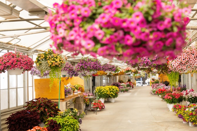 The student-run Poly Plant Shop. 