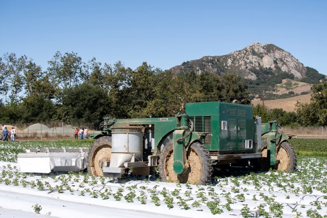 A commercial bug vacuum runs in a strawberry field on campus. The bug vacuum was researched and created at Cal Poly. 