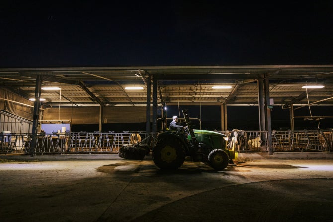 A student drives a tractor past the dairy barn while working at the Cal Poly Dairy.