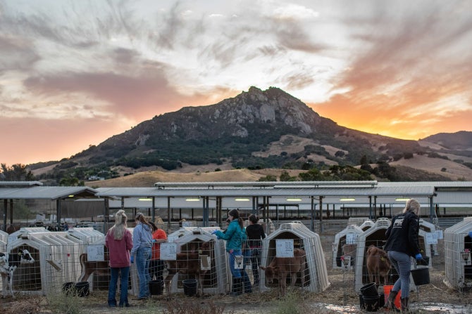 The sun sets over the dairy on campus. 