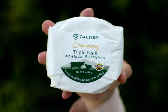 A hand holds a block of Cal Poly Creamery Triple Peak cheese. 