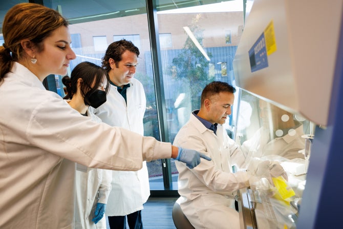Graduate students work to isolate DNA to find microbes in the gut of chickens that have been fed with carrot pomace.