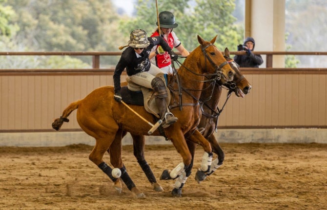 A Cal Poly student on horseback competes for the Polo Team. 