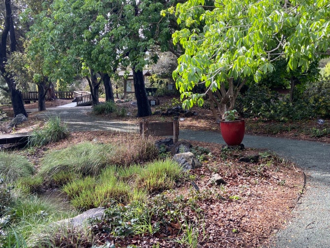 The Californian Garden at the Leaning Pine Arboretum.