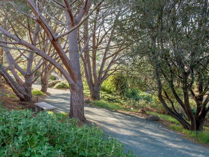 The Mediterranean Garden at the Leaning Pine Arboretum.