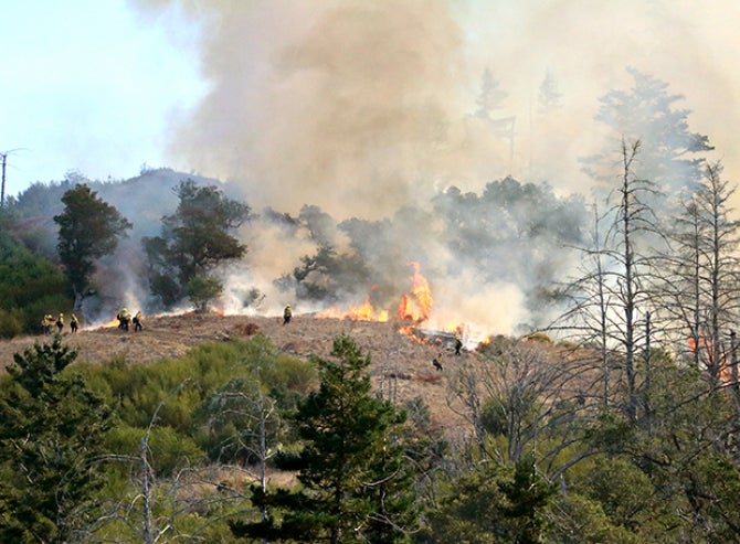 Forest and Fire Sciences students dot the side of a hill surrounded by evergreen trees at Swanton Pacific a flames burn grass during a prescribed burn. 