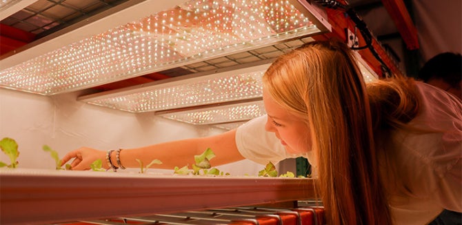 A student working with Cal Poly plants