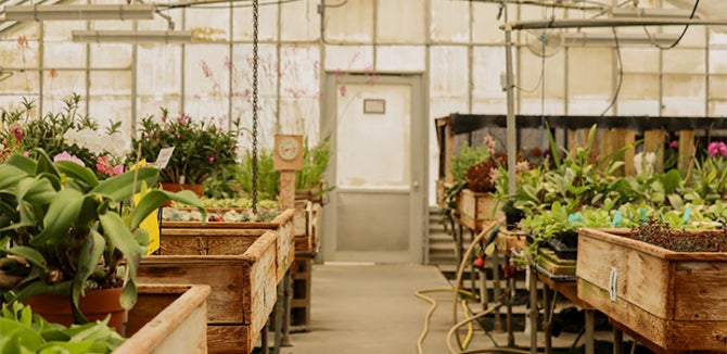 The Cal Poly Greenhouse full of different types of plants and flowers