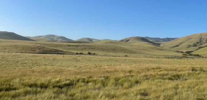 Cal Poly Pasture Land